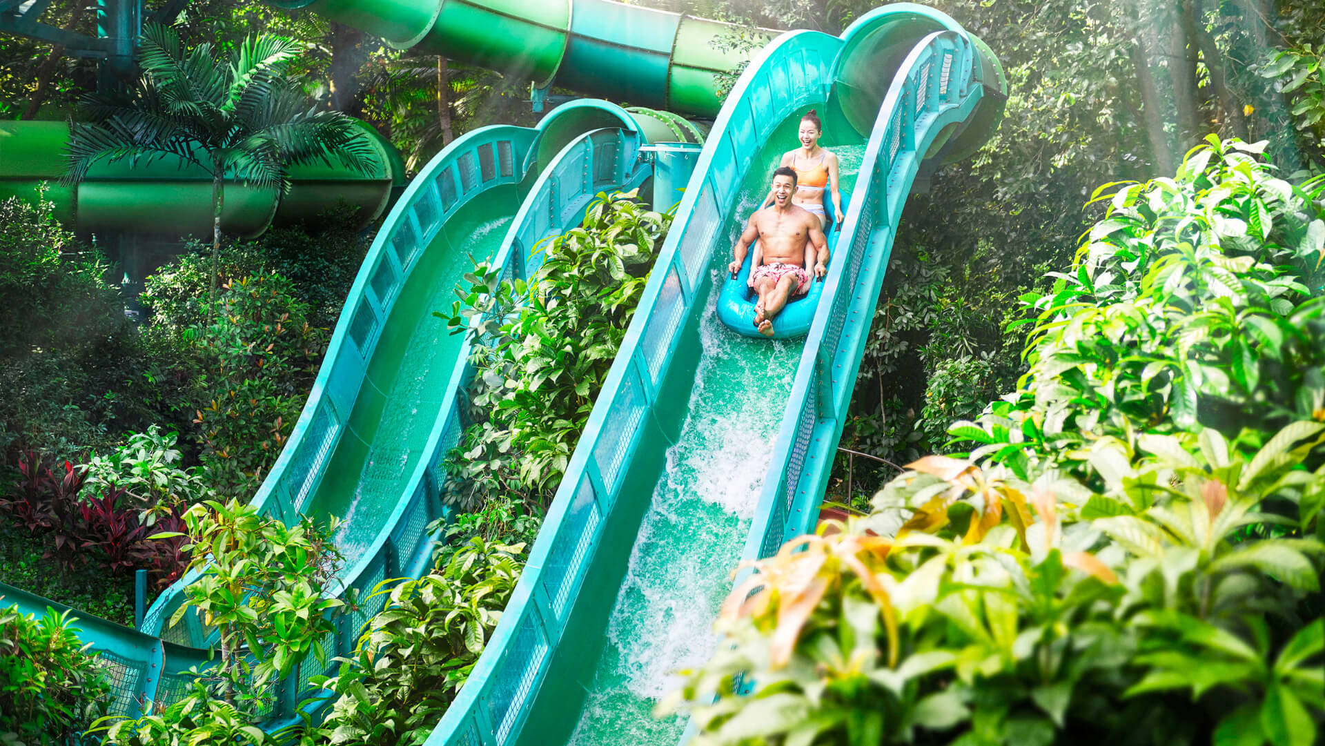 Adventure Cove Waterpark
