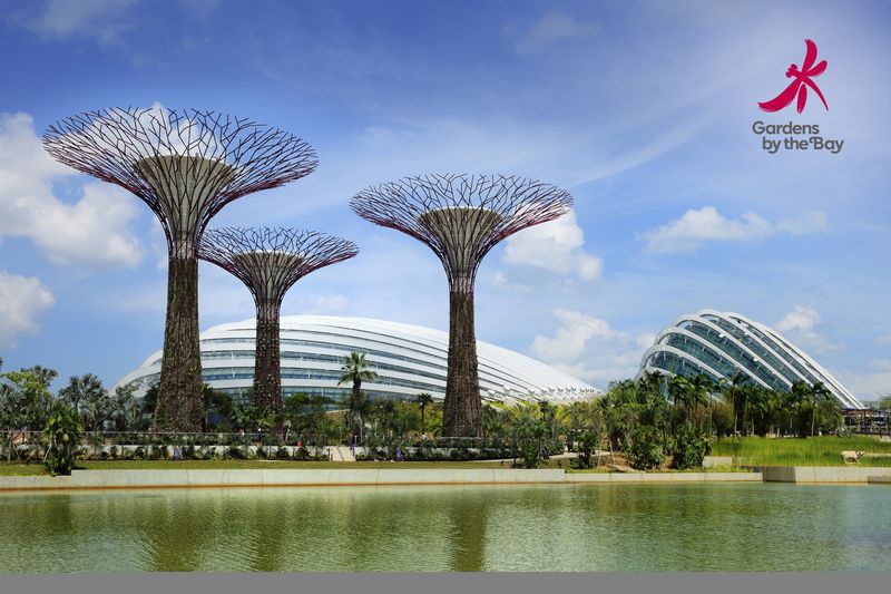 Gardens by the Bay